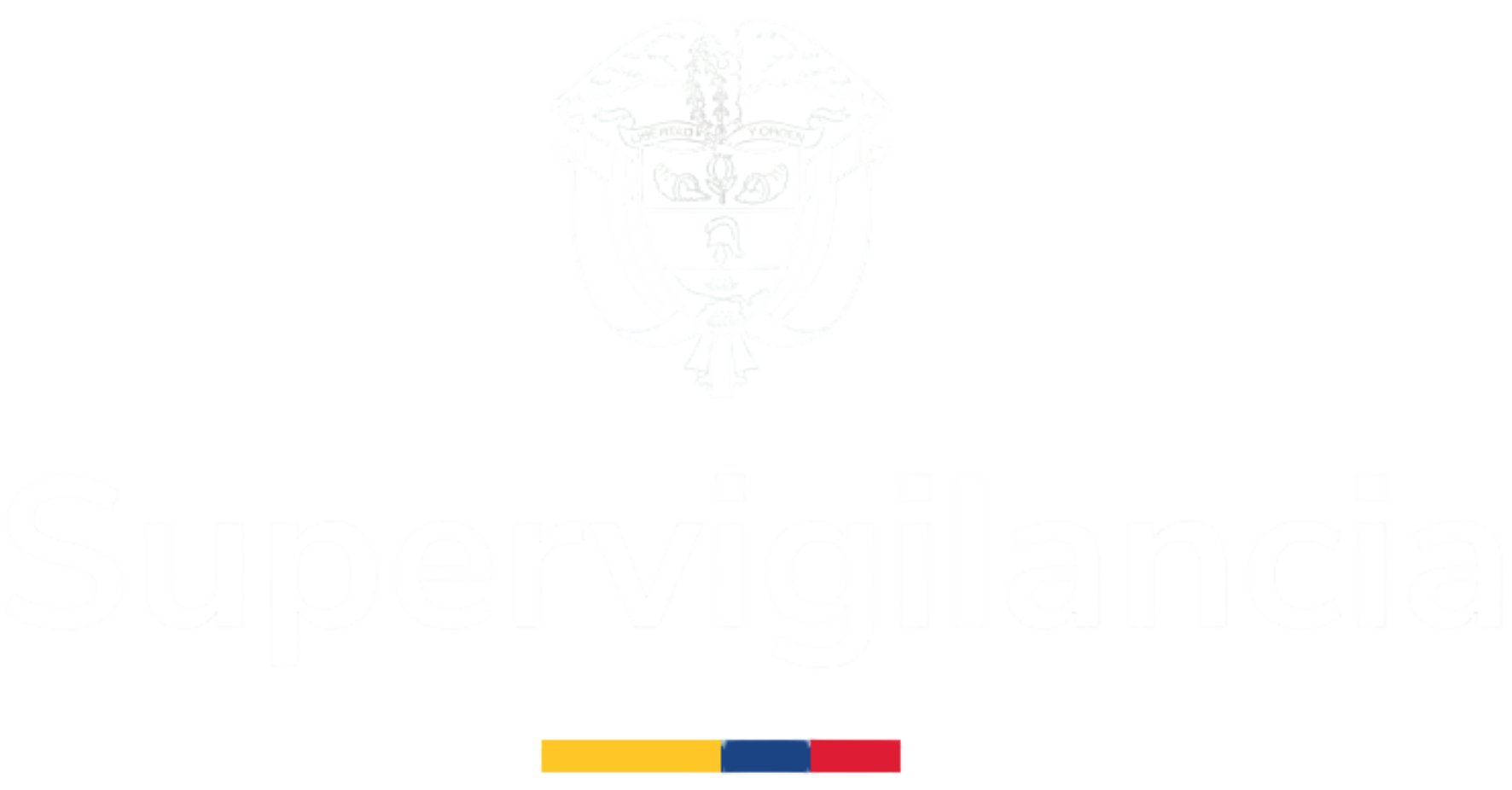 Supervigilancia